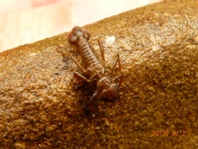 �u�����e����