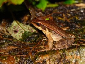 �Գ��Ƥ󨪵�