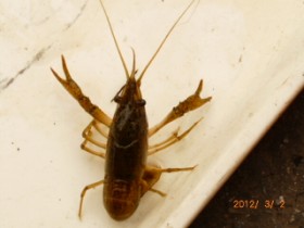 �����g��