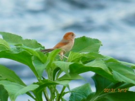 �����x�L