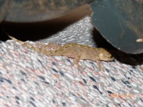 �]�s����